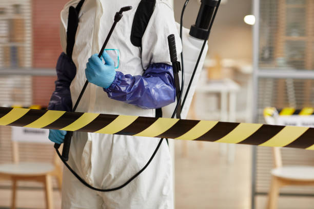 Professional Sewage Cleanup technician working in Kamas, UT